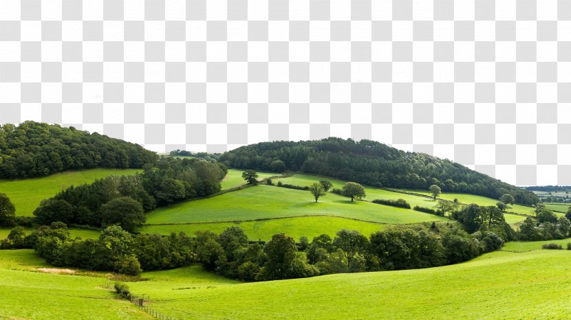 England Wales Rural Area Stock Photography Panorama - Green Fields Transparent PNG