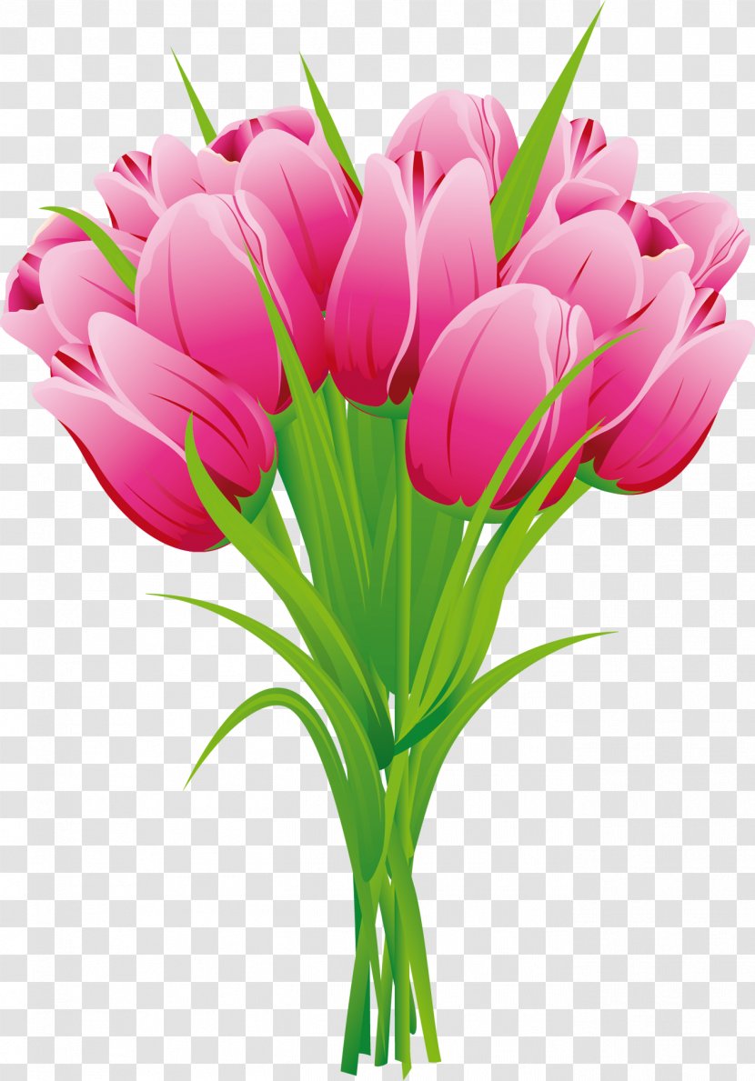 Flower Bouquet Tulip Clip Art - Lily Family Transparent PNG