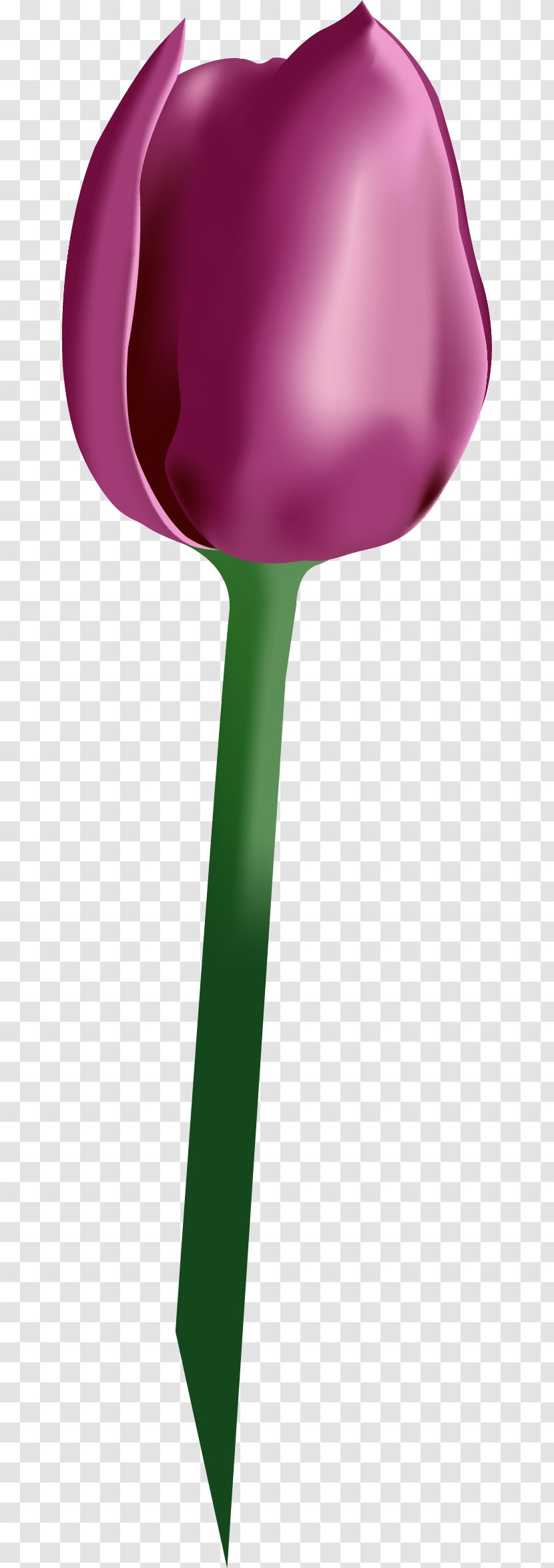 Tulip Euclidean Vector Computer File - Violet - Hand Painted Purple Tulips Transparent PNG
