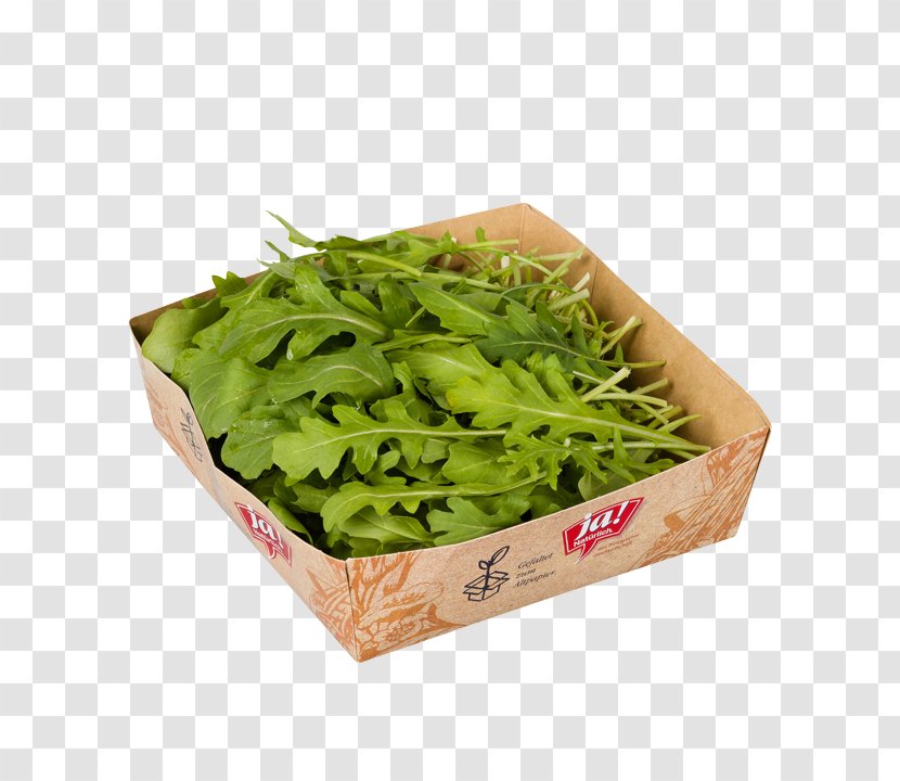 Spinach Spring Greens Herb Leaf Vegetable - Rucola Transparent PNG