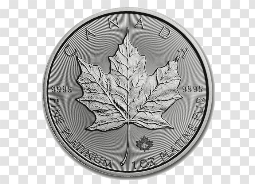 Canadian Gold Maple Leaf Platinum Bullion Royal Mint - Silver Transparent PNG
