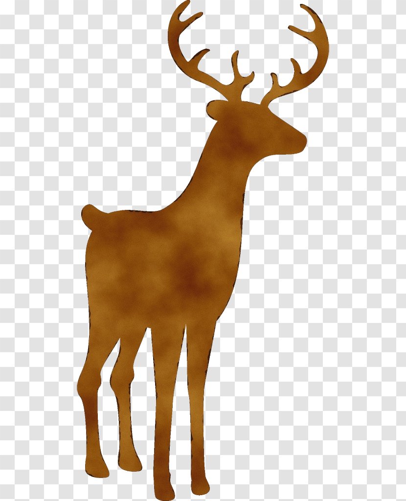 Reindeer - Elk - Moose Fawn Transparent PNG