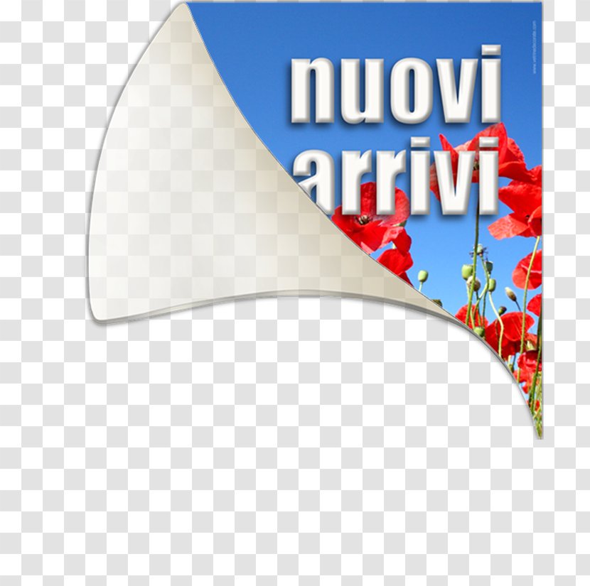 Display Window Vetrofania Decoratie Sticker Post-it Note - Opruiming - Papaveri Transparent PNG
