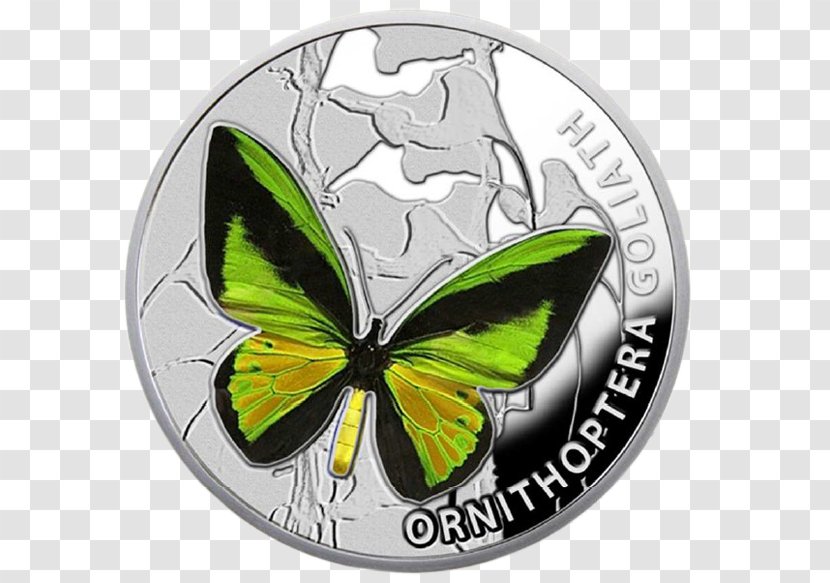 Butterflies And Moths Silver Coin Insect Wing Nature - Papilio Machaon Transparent PNG