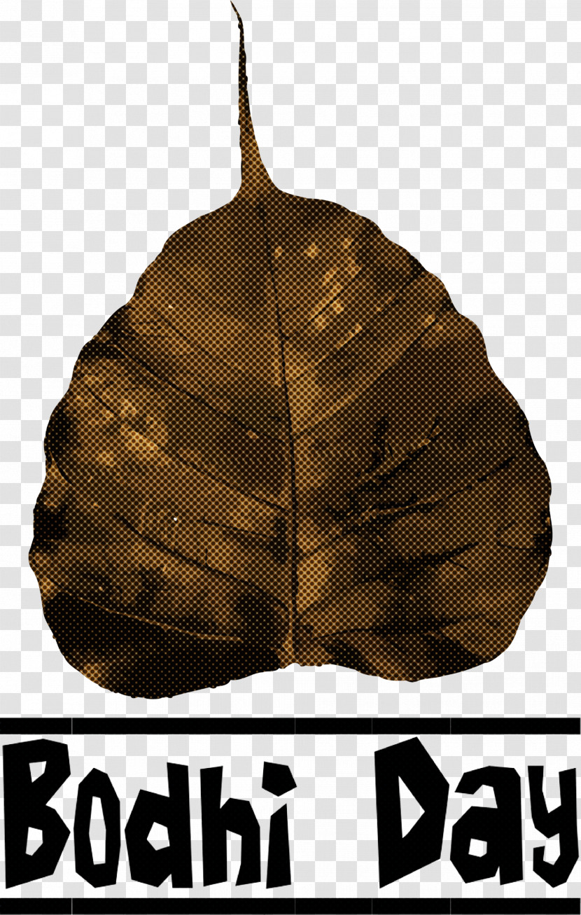 Bodhi Day Transparent PNG