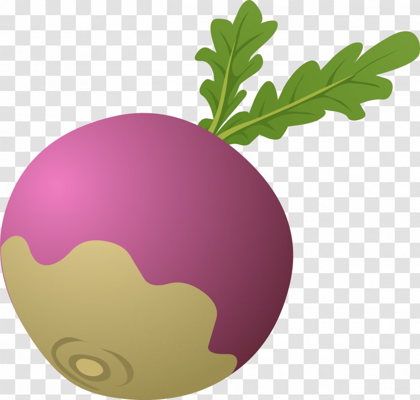 Daikon The Gigantic Turnip Beetroot Clip Art - Cliparts Transparent PNG