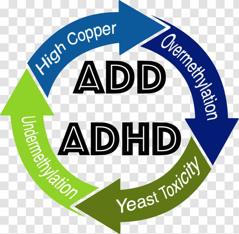 Clip Art Attention Deficit Hyperactivity Disorder Symptom Logo Therapy - Areas Of Focus Transparent PNG