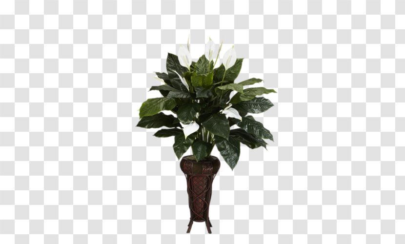 Kitchen Houseplant Peace Lily Furniture Transparent PNG