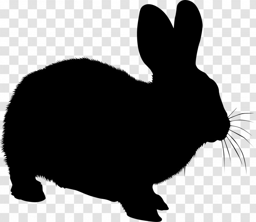 Domestic Rabbit Hare Black & White - Correios - M Whiskers Transparent PNG