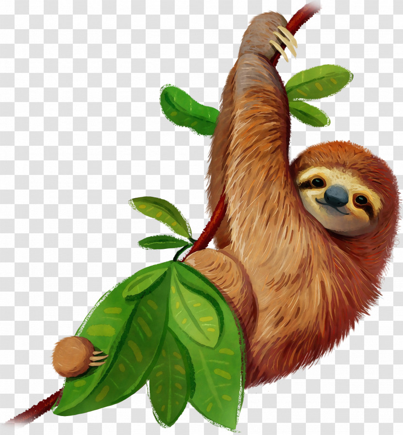 Three-toed Sloth Sloth Two-toed Sloth Leaf Tree Transparent PNG