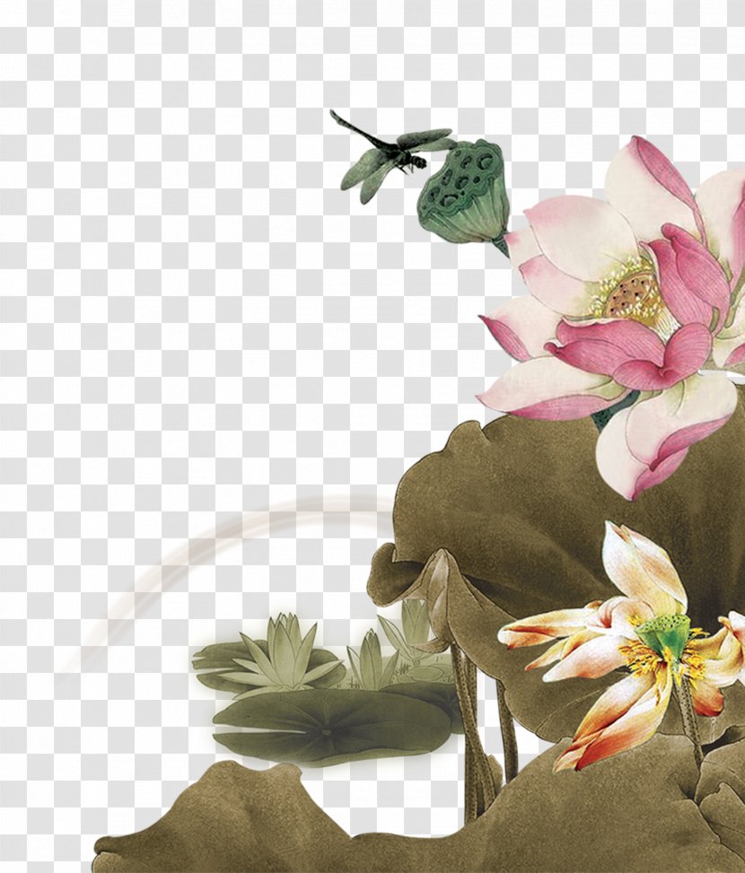 China Book Poster - Lotus Dragonfly Transparent PNG