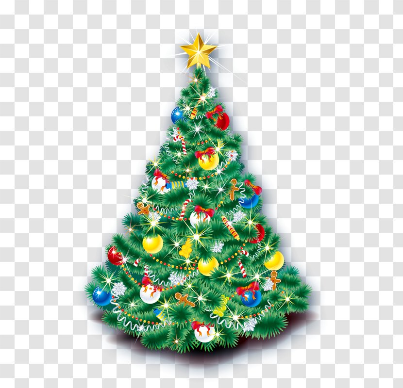 Christmas Tree Clip Art - Spruce Transparent PNG