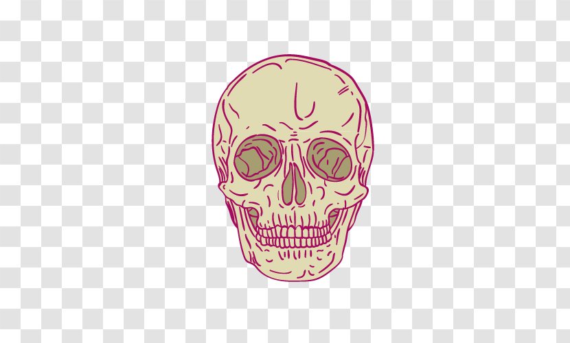 Skeleton Cartoon Skull - Jaw - Vector Transparent PNG