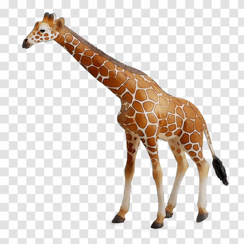 CollectA Action & Toy Figures Reticulated Giraffe Jungle Animal Transparent PNG