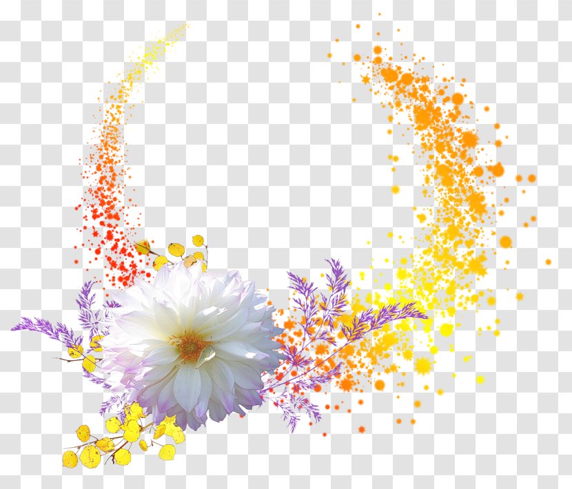 Floral Design Desktop Wallpaper - Flowering Plant - Body Jewelry Transparent PNG