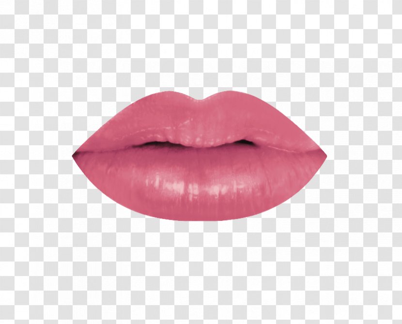 Lip Balm Lipstick Gloss Beauty - Health - Lips Transparent PNG