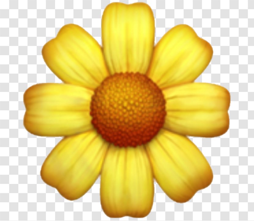 Smiley Emoji - Emoticon - Wildflower Pollen Transparent PNG
