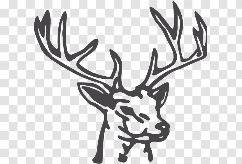 Reindeer Drawing White-tailed Deer Clip Art - Silhouette Transparent PNG