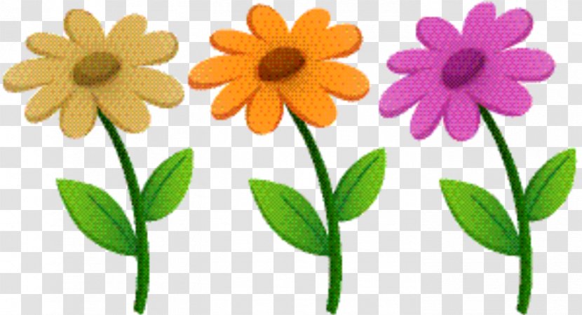 Marigold Flower - Wildflower - Daisy Family Transparent PNG