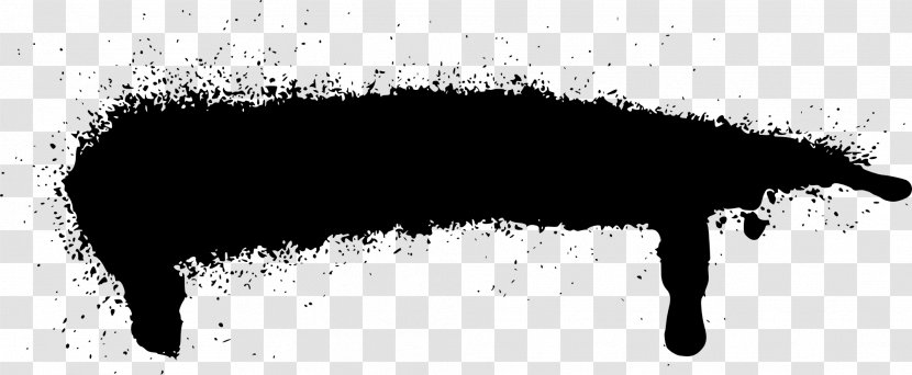 Paint Black And White - Spray Transparent PNG