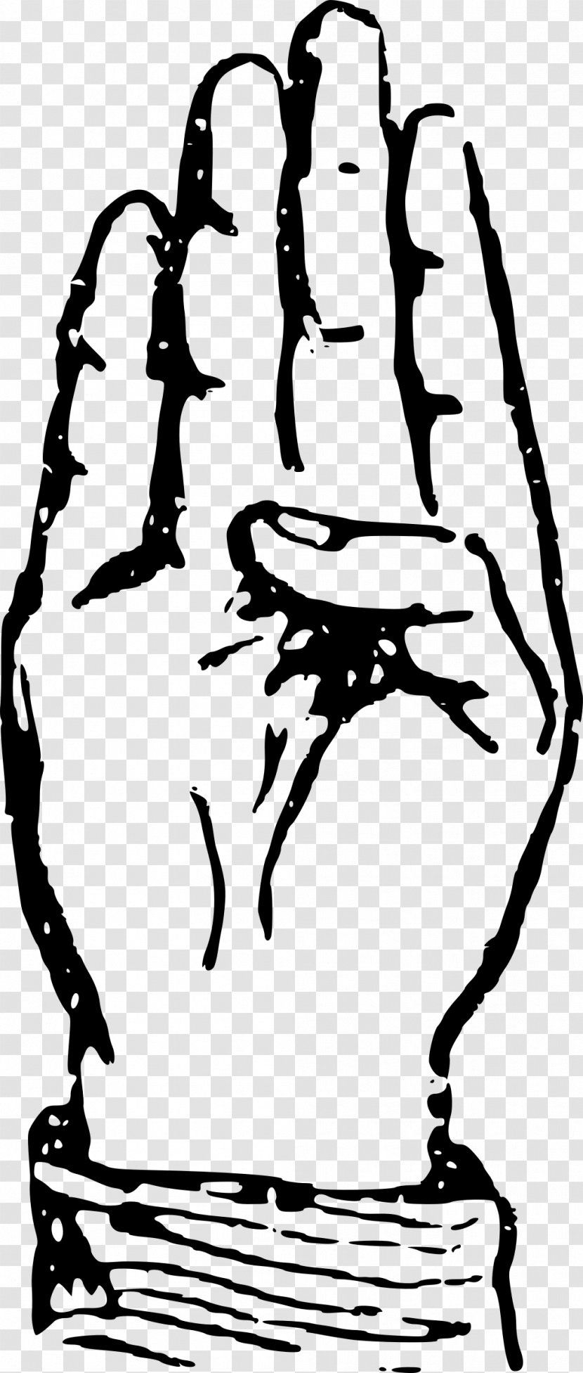 Letter American Sign Language B - Plant - B. Transparent PNG