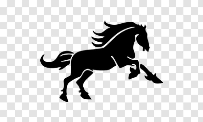 Horse Clip Art - Black And White Transparent PNG