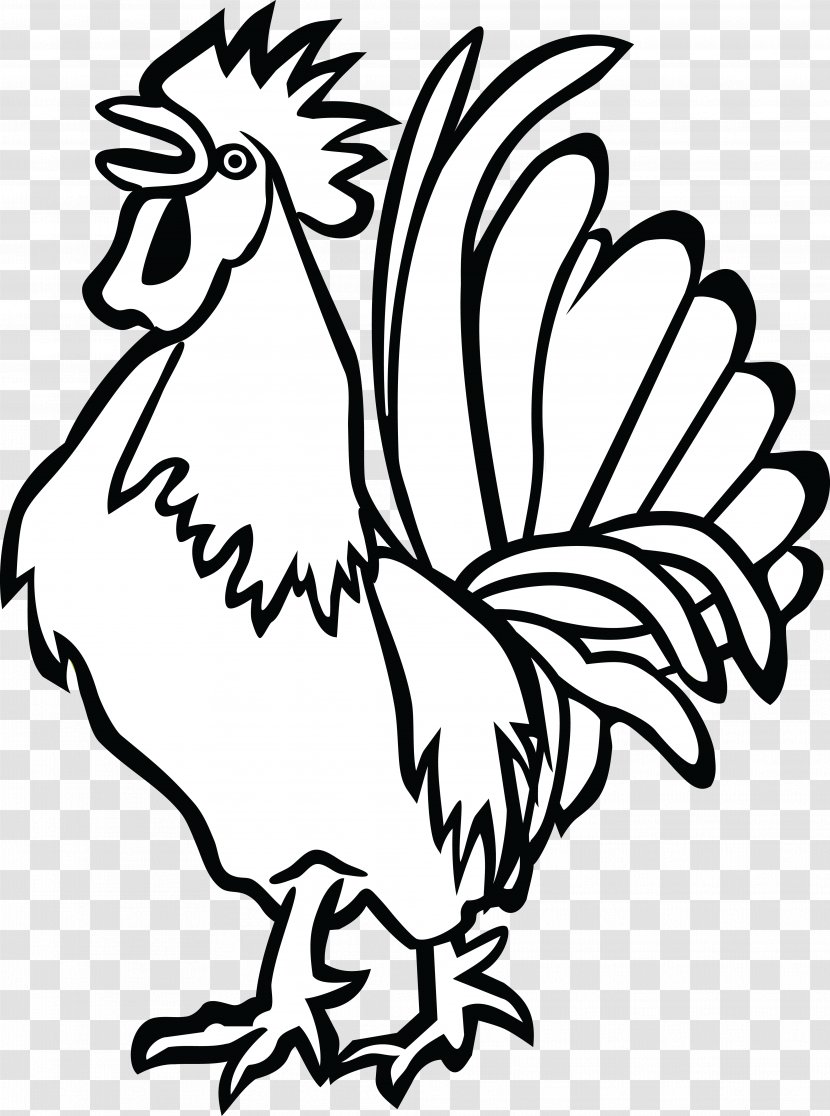 Chicken Rooster Clip Art - Bird Transparent PNG