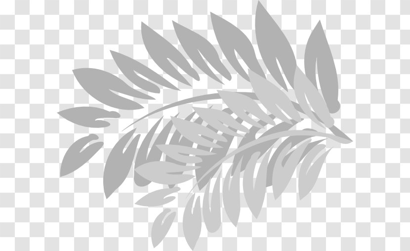 Hibiscus Tea Clip Art - Branch - Green Leaves Potted Buckle Transparent PNG