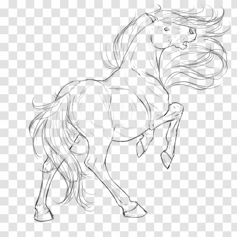 Pony Mustang Art Stallion Sketch - Tail - Line Transparent PNG