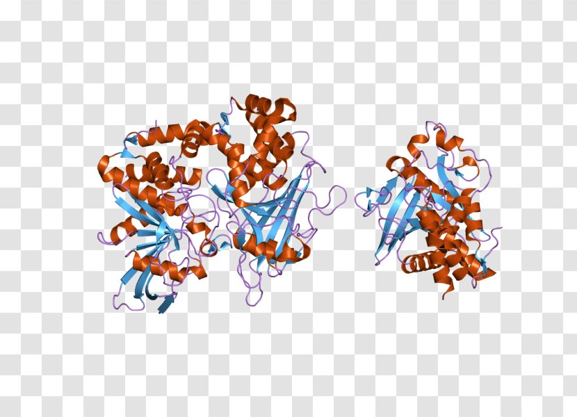 PTPRD Protein Tyrosine Phosphatase Receptor Illustration - Enzyme Transparent PNG