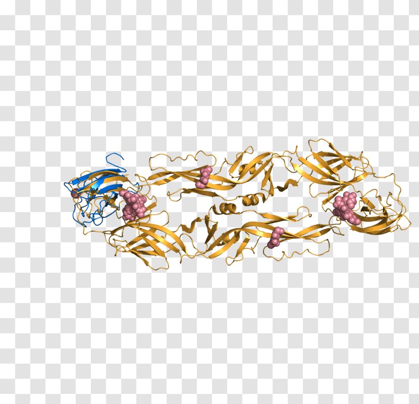Body Jewellery Font Transparent PNG
