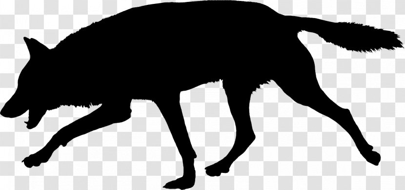 Whiskers Wolf Red Fox Cat Snout Transparent PNG