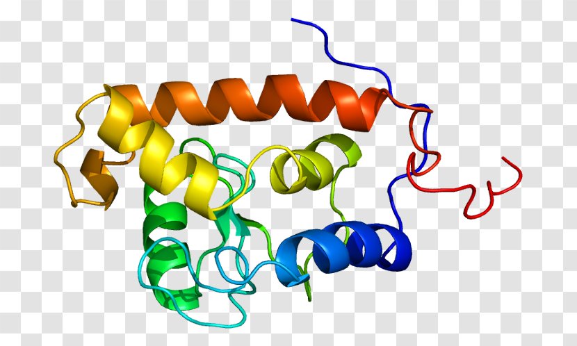 ARFGAP3 Protein GTPase Gene ADP Ribosylation Factor - Heart - Silhouette Transparent PNG