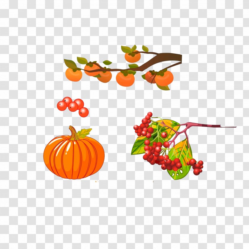 Pumpkin Cartoon Illustration - Food - Hawthorn, Pumpkin, Persimmon Hand-painted Map Transparent PNG