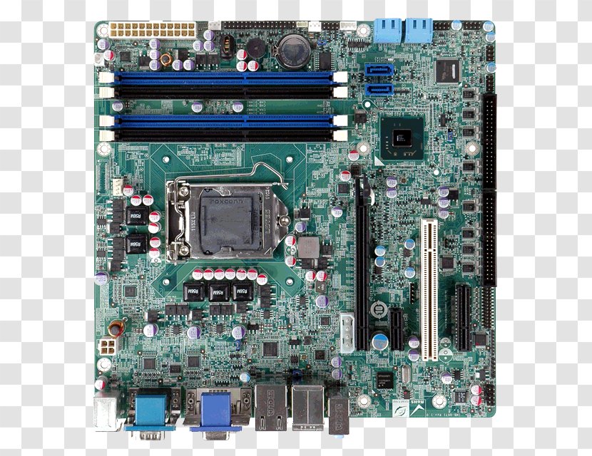 Graphics Cards & Video Adapters Intel Motherboard Central Processing Unit ATX - Computer Component Transparent PNG