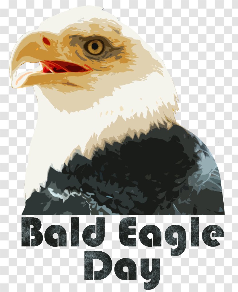 Eagle Vulture Beak Brand Transparent PNG