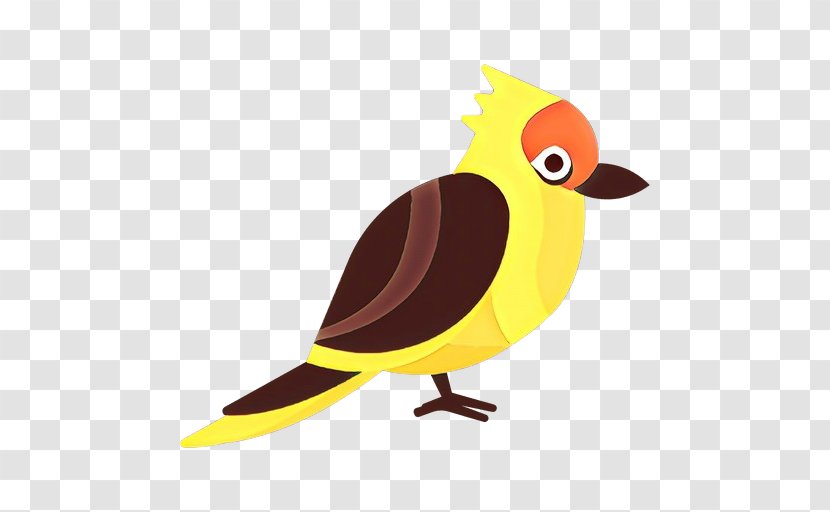 Bird Cartoon Beak Yellow Songbird - Old World Flycatcher Perching Transparent PNG
