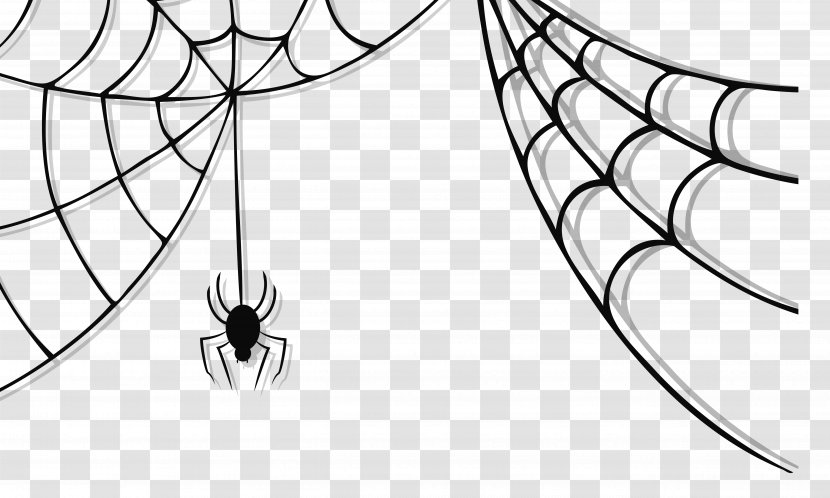 Spider Web Clip Art - Cartoon - Black Transparent PNG