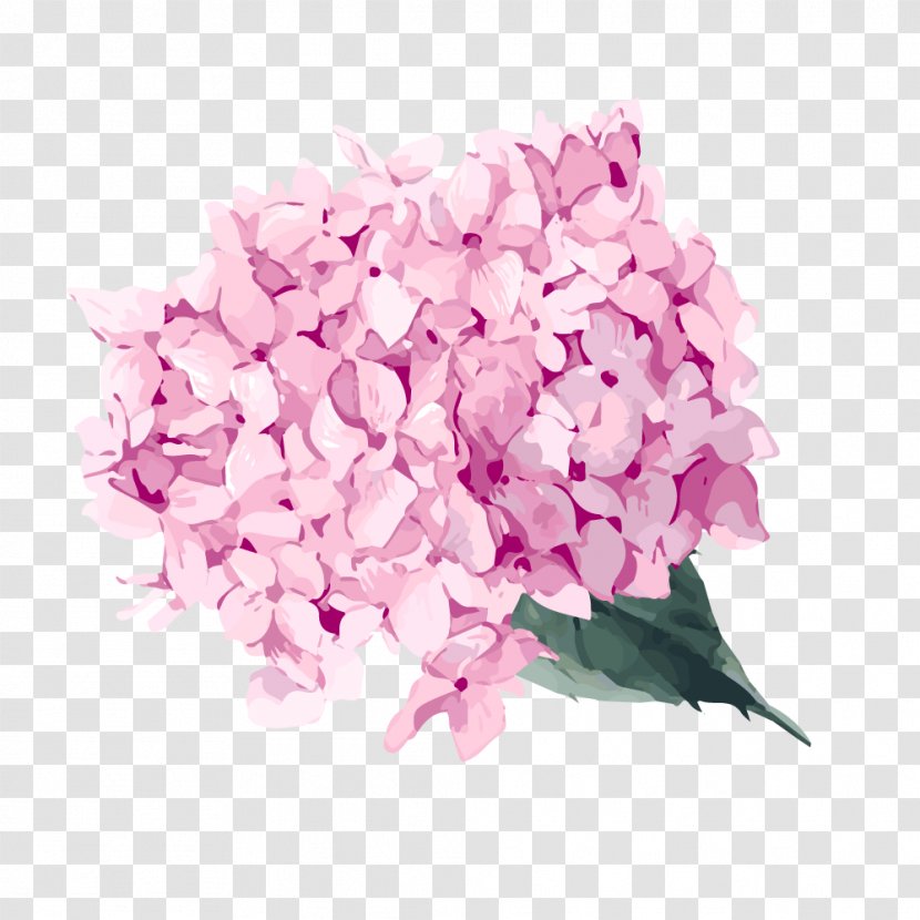 Watercolor Painting Vector Graphics Image Watercolor: Flowers Transparent PNG