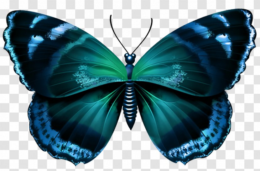 Butterfly Clip Art - Blue - Transparent Image Transparent PNG