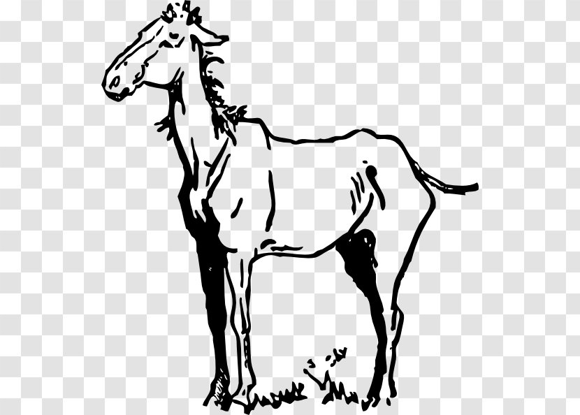 Pony American Quarter Horse Equestrian Clip Art - Animal Figure - Mane Transparent PNG