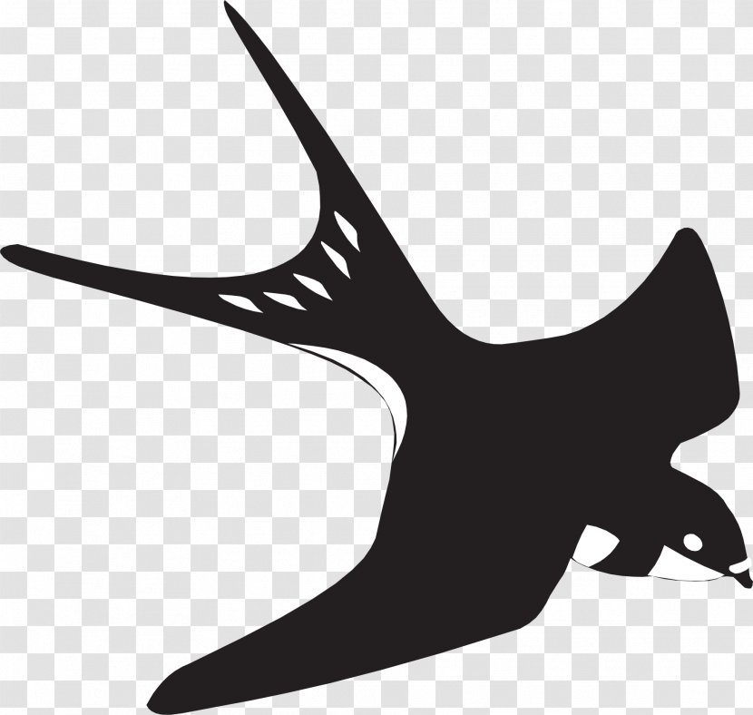 Swallow Clip Art - Wing - Fly Transparent PNG