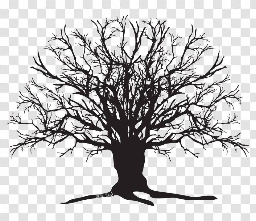 Tree Silhouette Oak Clip Art - Creepy Transparent PNG