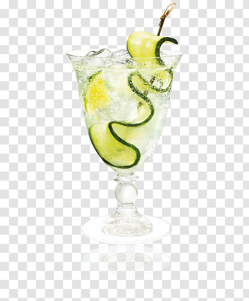 Cointreau Cocktail Liqueur Fizz Triple Sec - Juice - Cucumber Slices And Image Transparent PNG