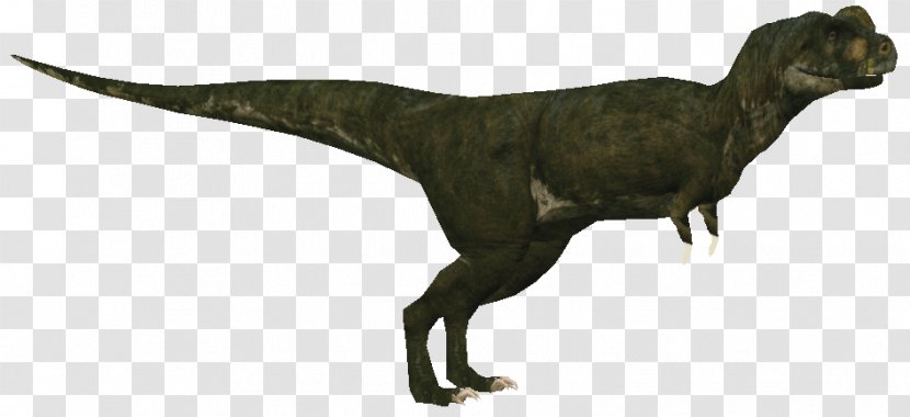 Tyrannosaurus Velociraptor Animal - Zoo Tycoon 2 Transparent PNG