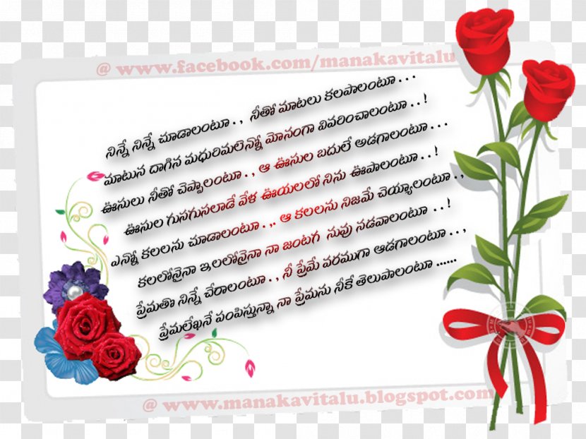 Bible Love Poetry Romance - Flower - Telugu Transparent PNG