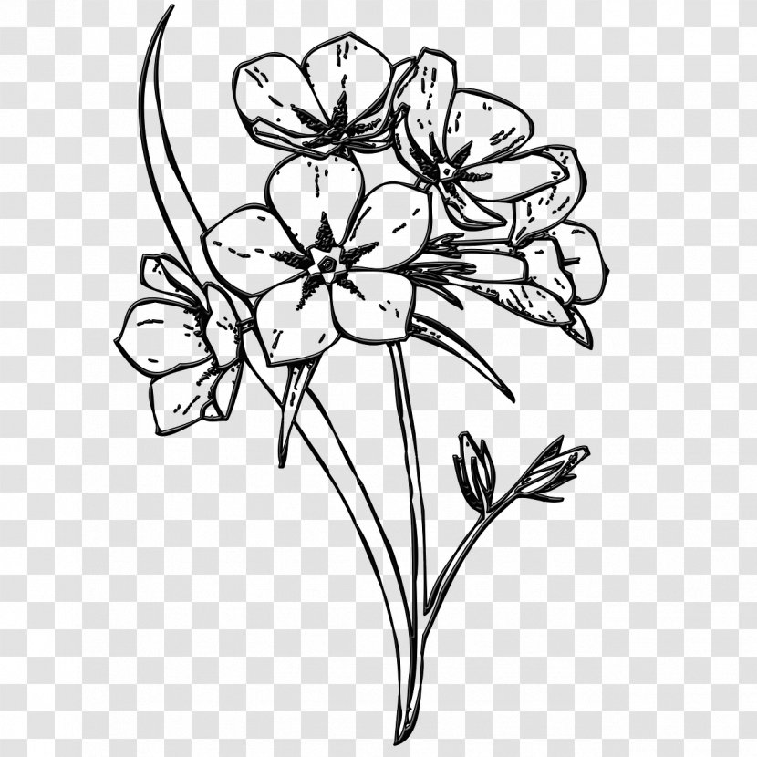Floral Design Flower Image Drawing Clip Art - White Transparent PNG