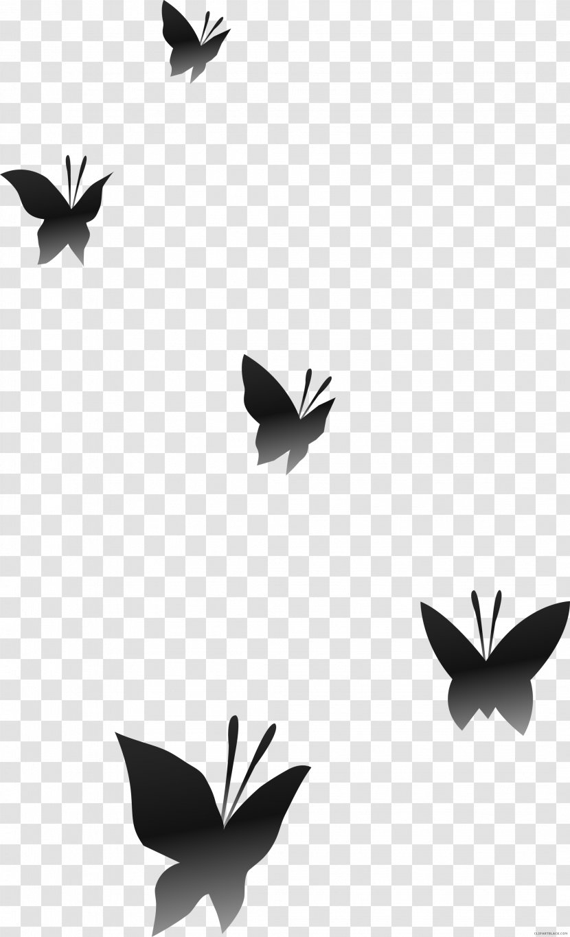Clip Art Transparency Illustration Openclipart - Bird - Butterfly Iv Start Transparent PNG