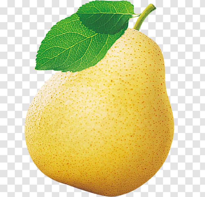 Asian Pear Citron Lemon Fruit - Diet Food - Watery Transparent PNG