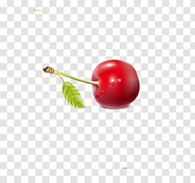 Cherry Berry Fruit Red - Splash - Delicious Transparent PNG